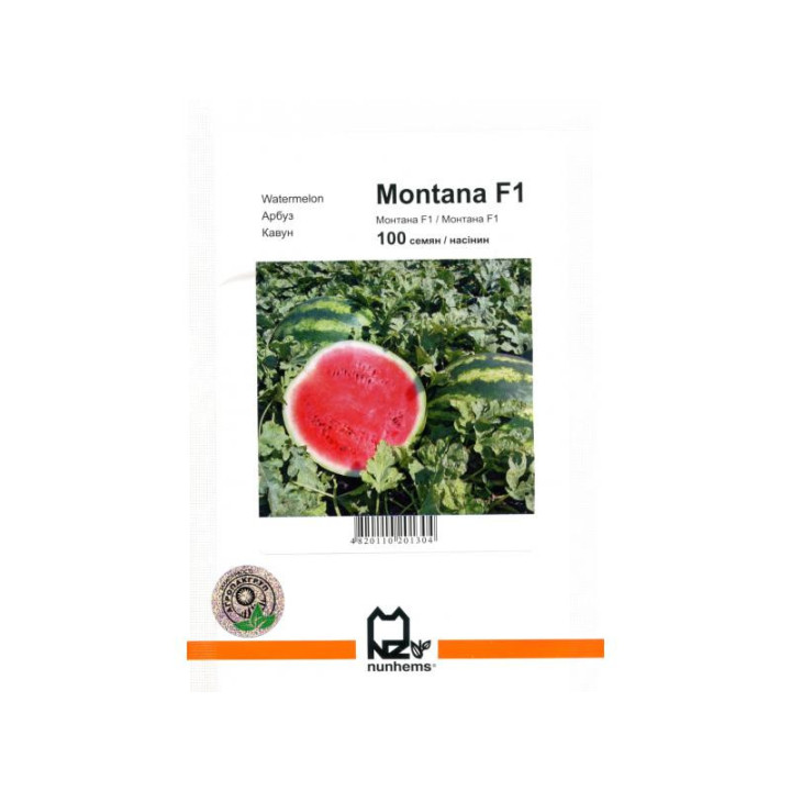 Монтана F1 / Montana F1