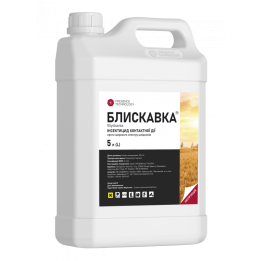 Блискавка