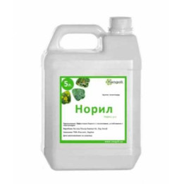 Норіл