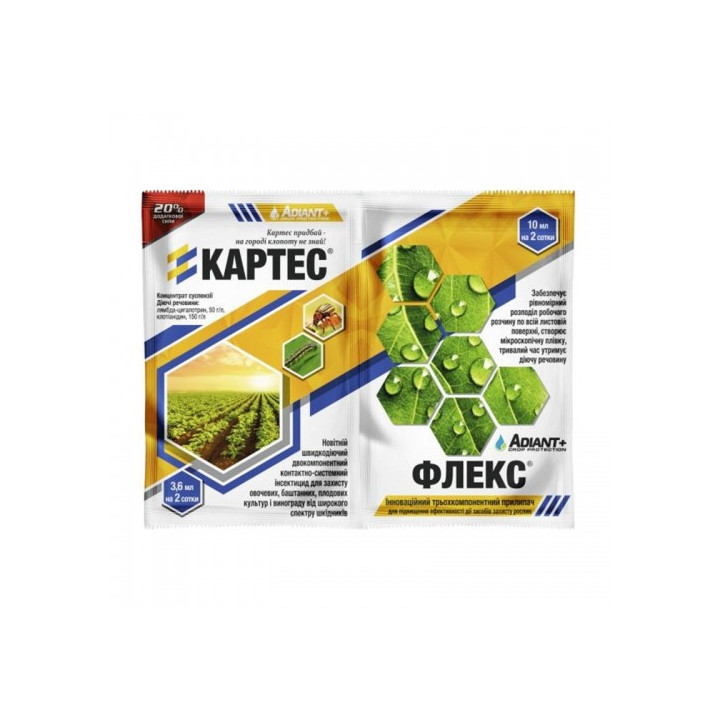 Картес/Каrtes