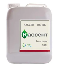 Кассент 400