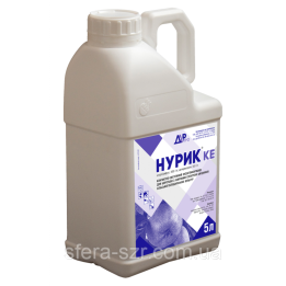 Нурік