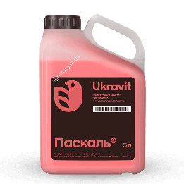 Паскаль