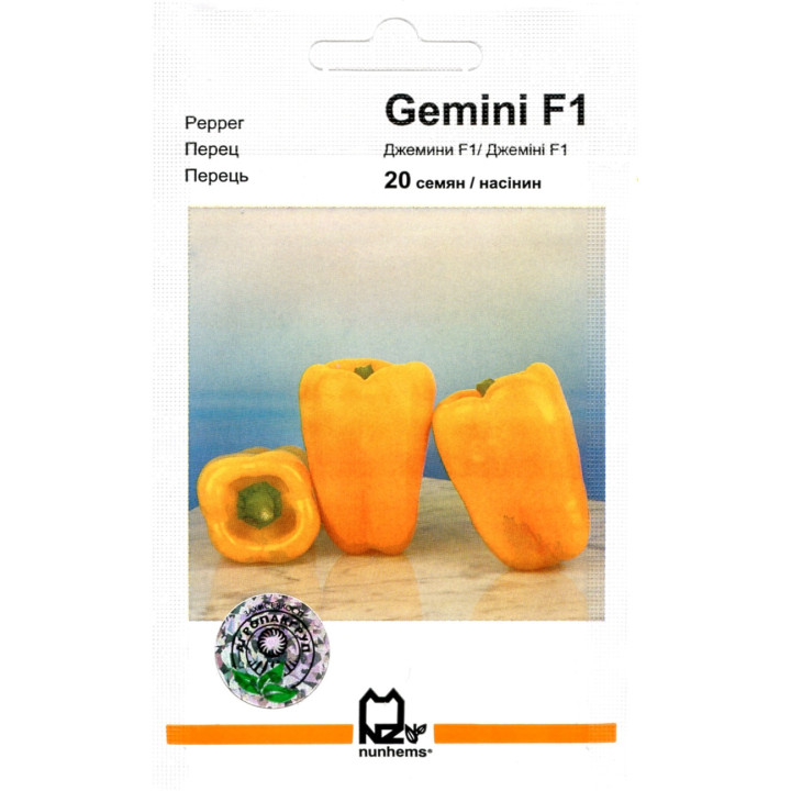Джемини F1 / Gemini F1