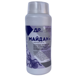 Майдан