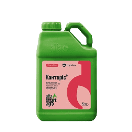 Кантаріс