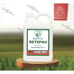 Ветеран