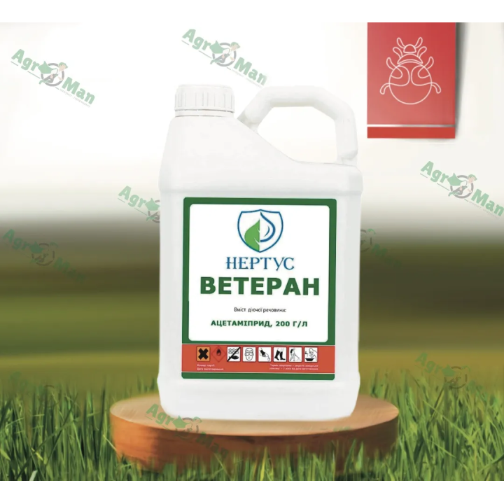 Ветеран