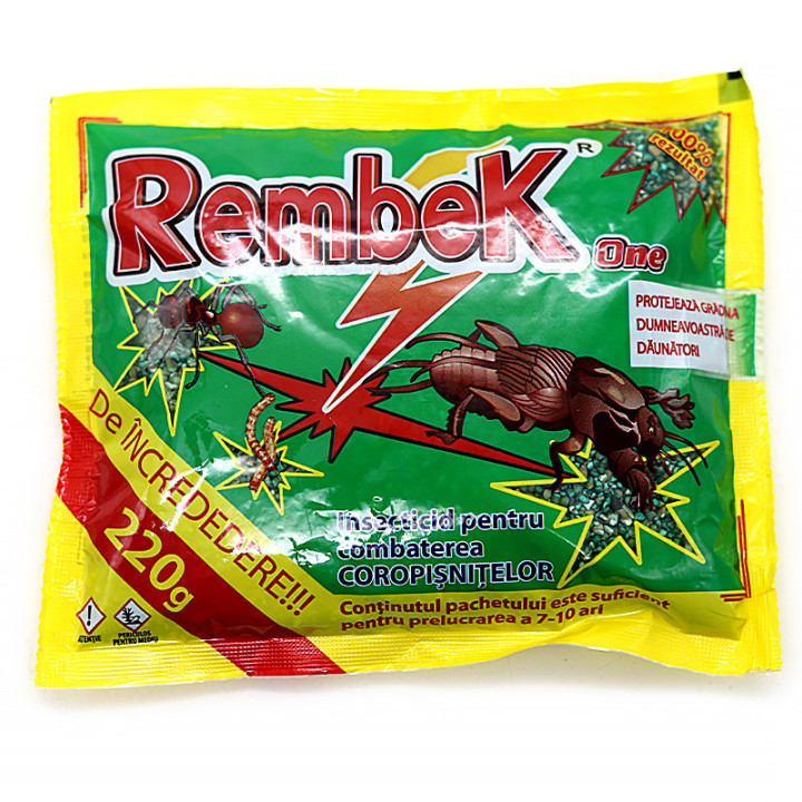 RembeK ONE