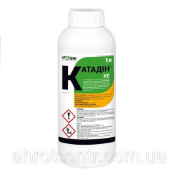 Катадин