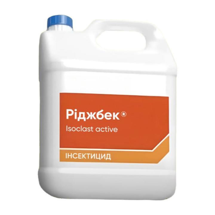 Ріджбек
