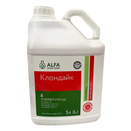 Клондайк