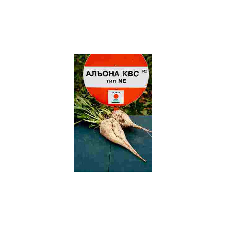 Алена КВС Rz F1