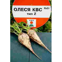 Олесия КВС F1