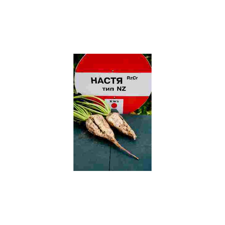 Настя Rz Cr F1