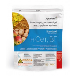 Ін Сет