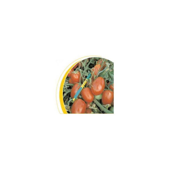 Диадема F1 / Diadem F1
