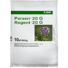 Регент 20 G