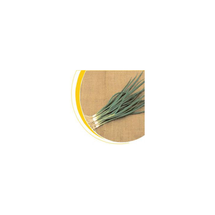 Савел / Savel