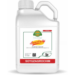 Аминка
