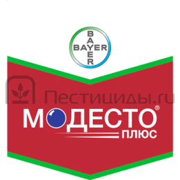 Модесто 480 FS