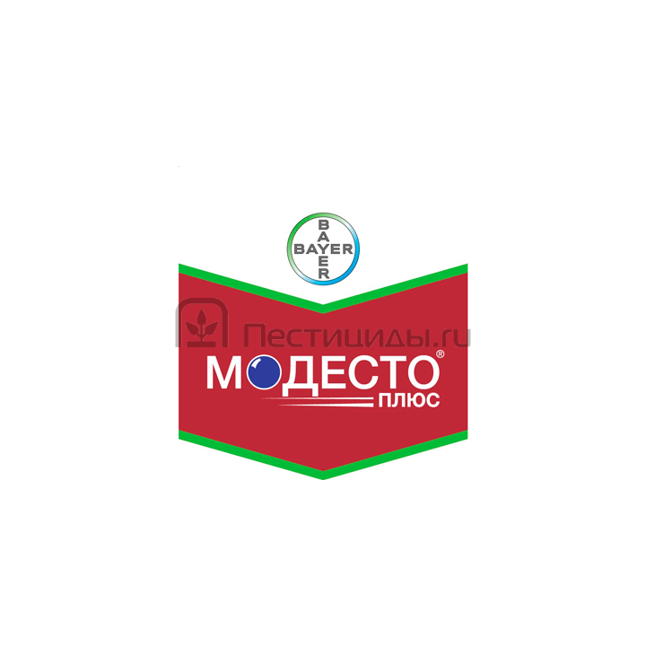 Модесто 480 FS