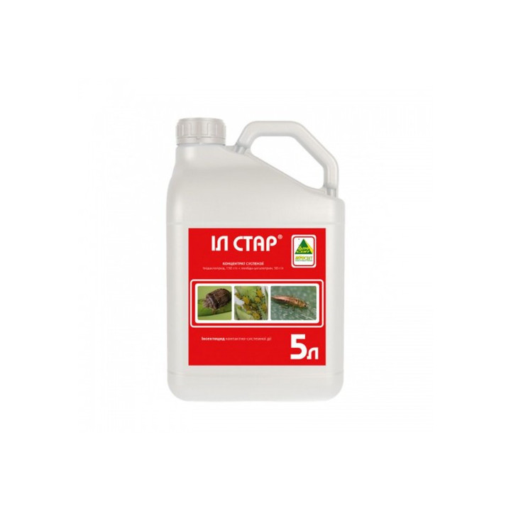 ИЛ-стар