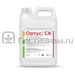 Ортус