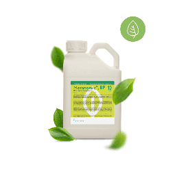 Ф'юрі