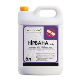 НИРВАНА