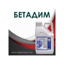 Бетадим