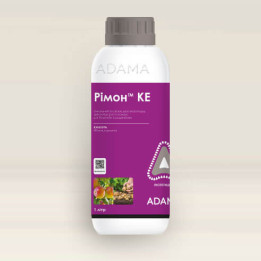 Рімон КЕ
