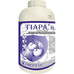Тіара