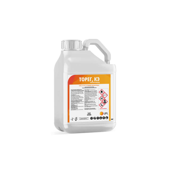 ТОРЕГ