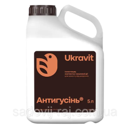 АНТИГУСІНЬ