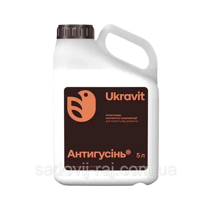 АНТИГУСІНЬ