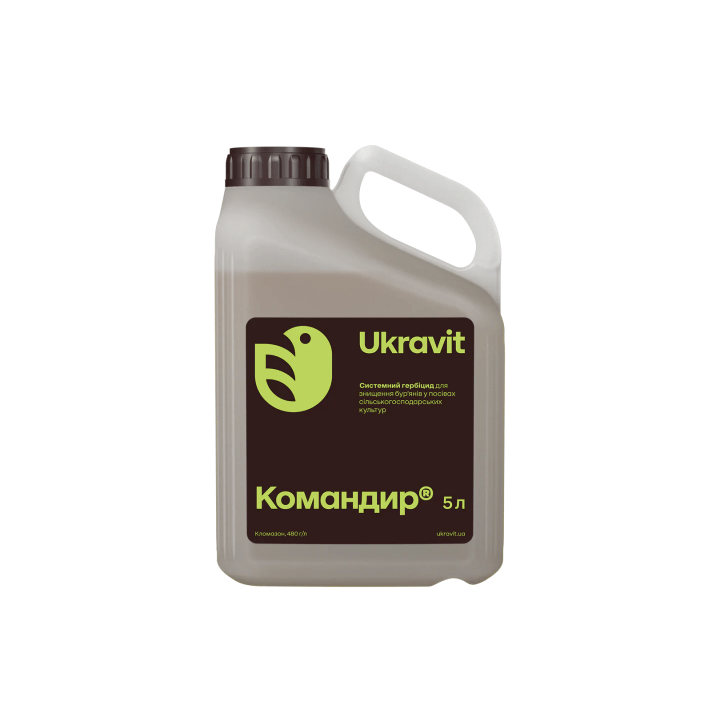 Командор
