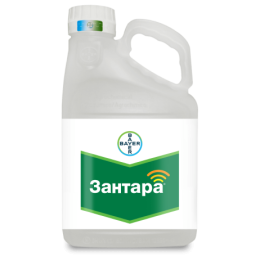 Заряд