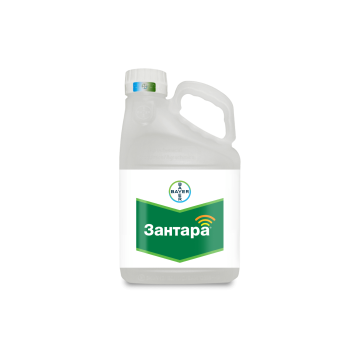 Заряд