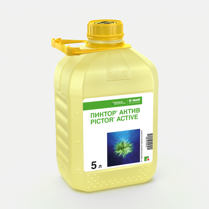Піктор Актив
