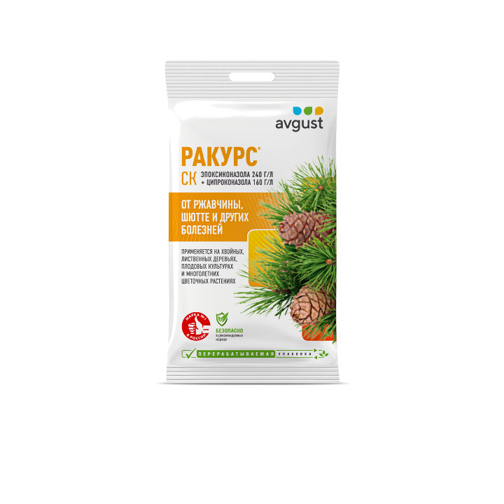 Ракурс