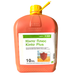 Кинто Плюс
