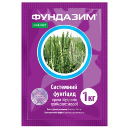 Фундазим