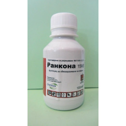 Ранкона 15