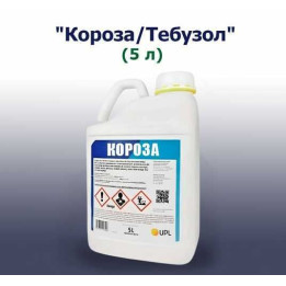Короза