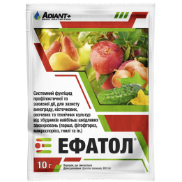 Ефатол