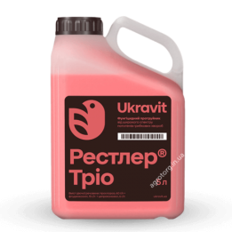 РЕСТЛЕР