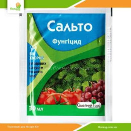 Сальто