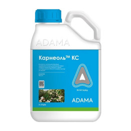 Карнеоль