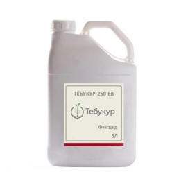 Тебукур 250 ЕВ